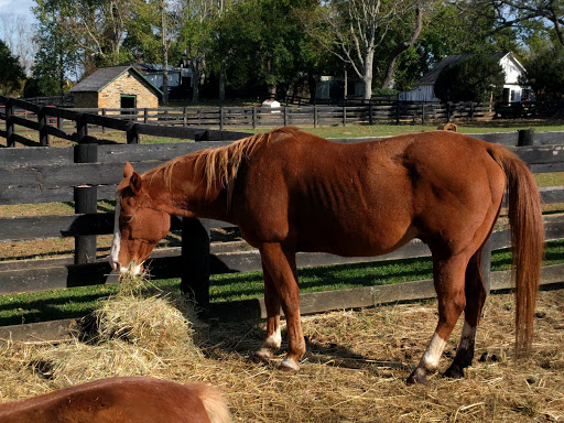 Winery «Aspen Dale Winery at the Barn», reviews and photos, 11083 John Marshall Hwy, Delaplane, VA 20144, USA