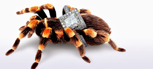 Jewelry Store «Tara Nash Jeweler», reviews and photos, 1325 4th Ave #920, Seattle, WA 98101, USA