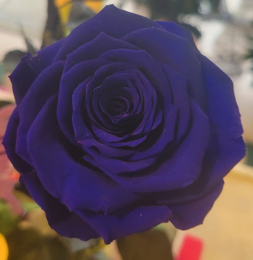 Florist «Connect with Flowers», reviews and photos, 1305 Eglin Pkwy, Shalimar, FL 32579, USA