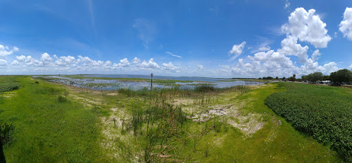 Recreation «Kissimmee Swamp Tours», reviews and photos, 4500 Joe Overstreet Rd, Kenansville, FL 34739, USA