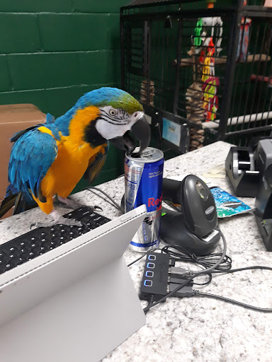 Pet Store «Pet Central», reviews and photos, 1200 Smallhouse Rd, Bowling Green, KY 42104, USA