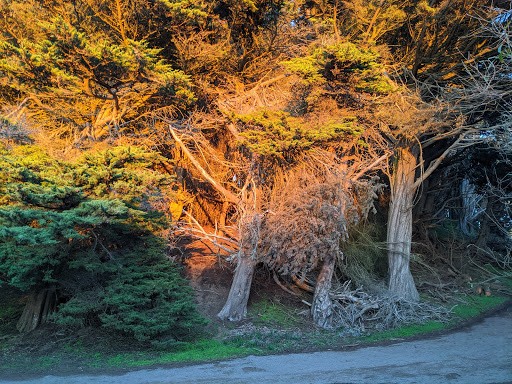 Scenic Spot «Lands End Labyrinth», reviews and photos, Lands End Trail, San Francisco, CA 94121, USA