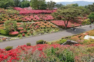 Komuroyama Park image