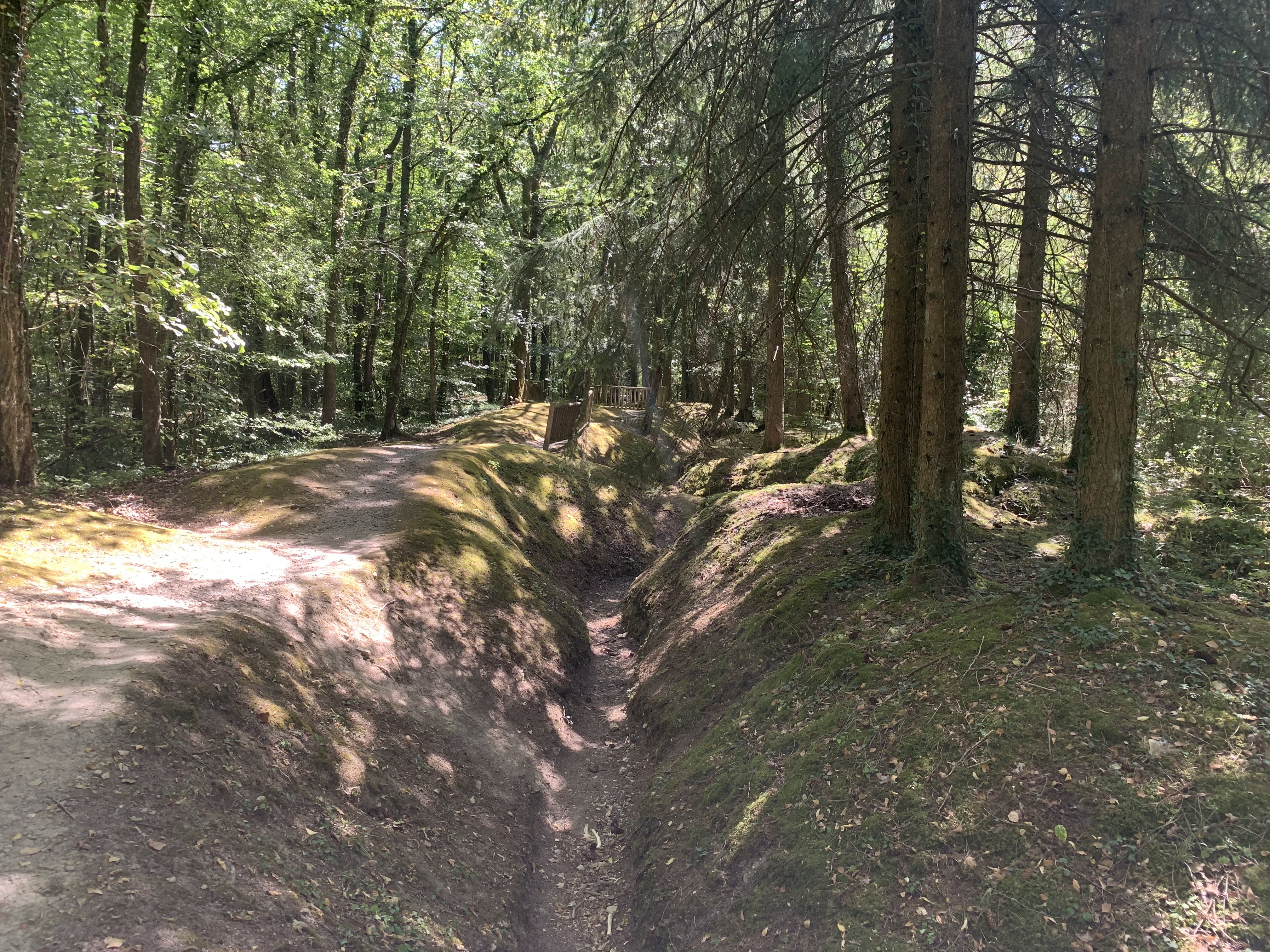 Photo n° 17 de l'avis de Ivo. fait le 18/08/2020 à 21:12