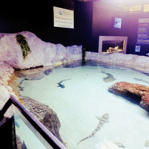 Aquarium «Austin Aquarium», reviews and photos, 13530 US183 101