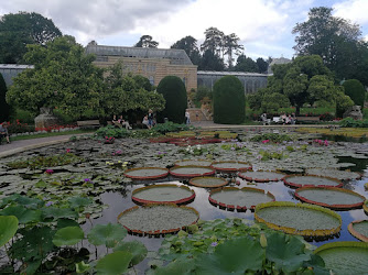 Zoologisches Und Tiermedizinisches Museum