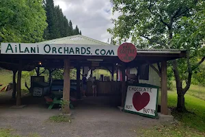 Ailani Orchards Fruit Stand image