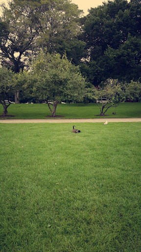 Fountain «Buckingham Fountain», reviews and photos, 301 S Columbus Dr, Chicago, IL 60605, USA