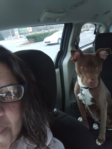 Pet Supply Store «PetSmart», reviews and photos, 4210 N 5th Street Hwy, Temple, PA 19560, USA