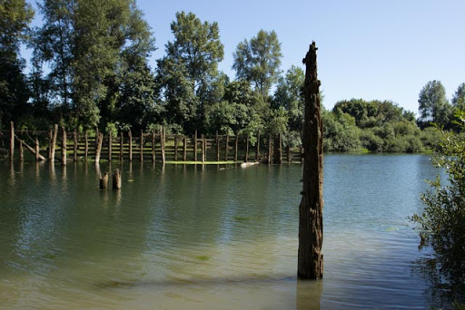 Tourist Attraction «Chehalem Paddle Launch», reviews and photos, 3100 SE 8th St, Dundee, OR 97115, USA