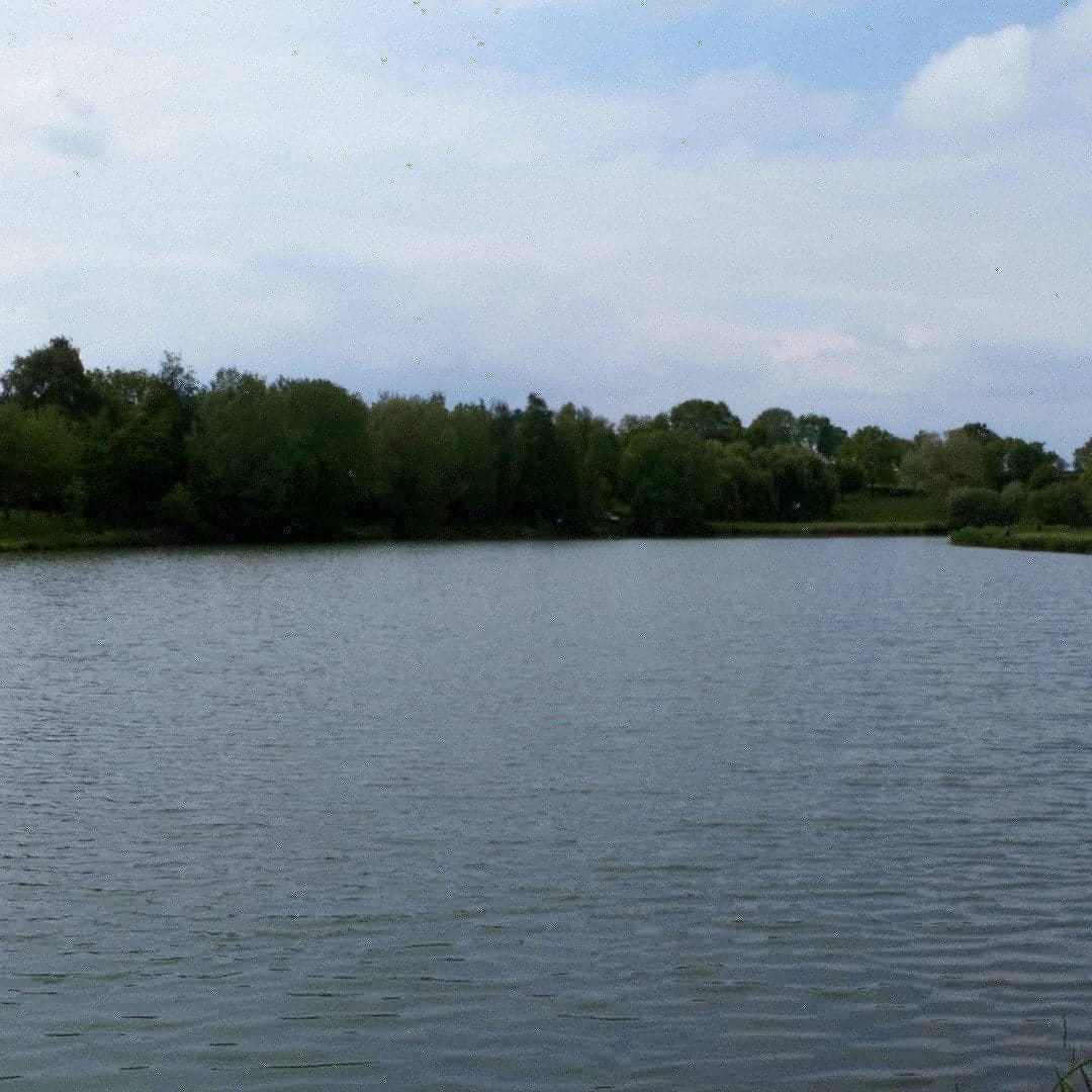 Photo n° 2 de l'avis de Jeanericpascal.a fait le 13/06/2018 à 07:12