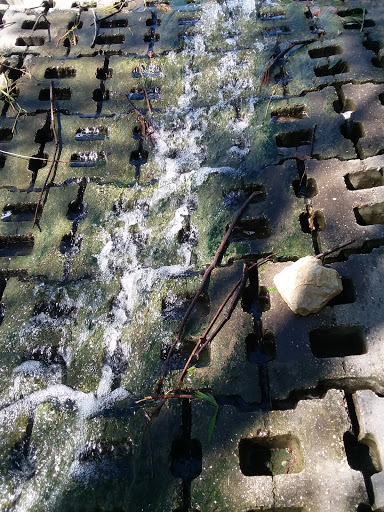 Park «Russell Creek Park», reviews and photos, 3500 McDermott Rd, Plano, TX 75025, USA