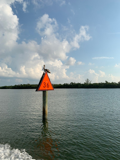 Boat Rental Service «Boat Rentals at Naples Bay Resort», reviews and photos, 1500 5th Ave S, Naples, FL 34102, USA