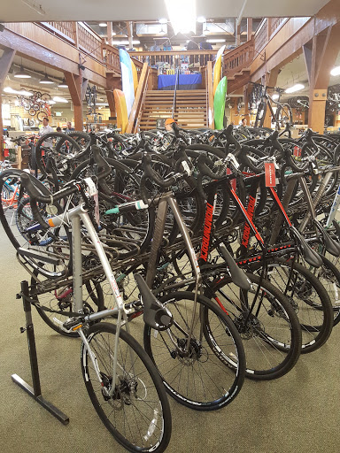 Camping Store «REI», reviews and photos, 306 Lawrence St, Eugene, OR 97401, USA