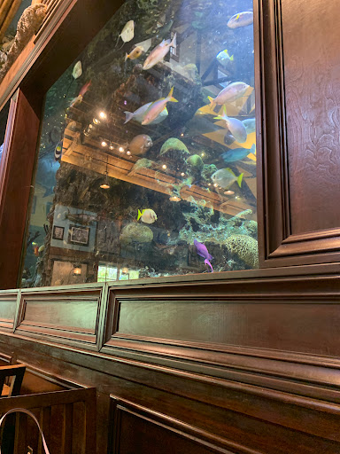 Sporting Goods Store «Bass Pro Shops», reviews and photos, 11550 Lakeridge Pkwy, Ashland, VA 23005, USA