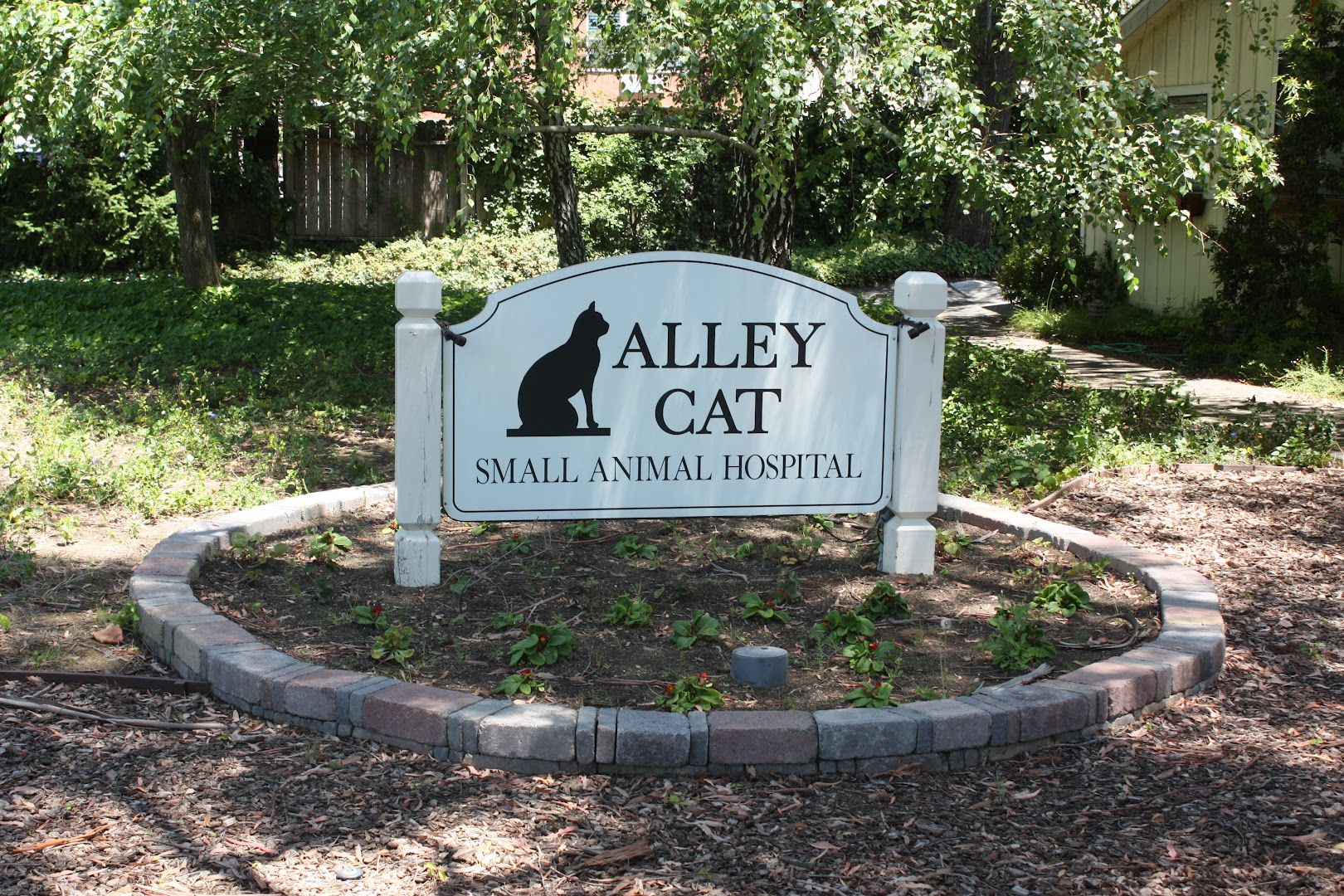 Alley Cat Small Animal Hospital