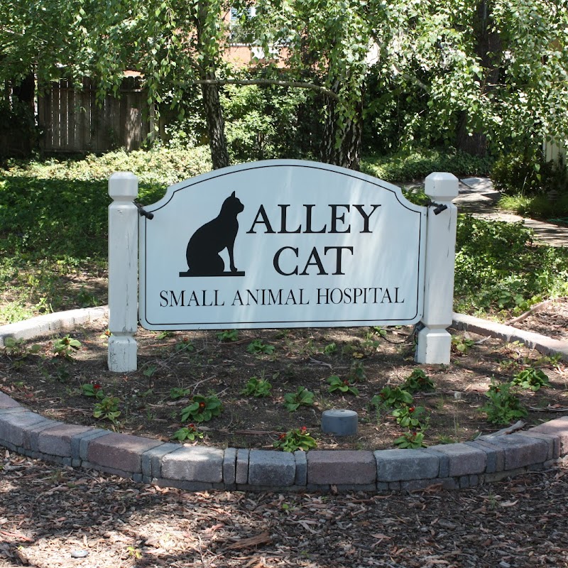 Alley Cat Small Animal Hospital