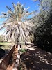Champs Ait Lahcen Ouali Logo, Tinghir Na Ɔkyerɛwee, Morocco, Park