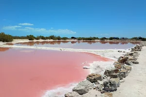 Salt Ponds image