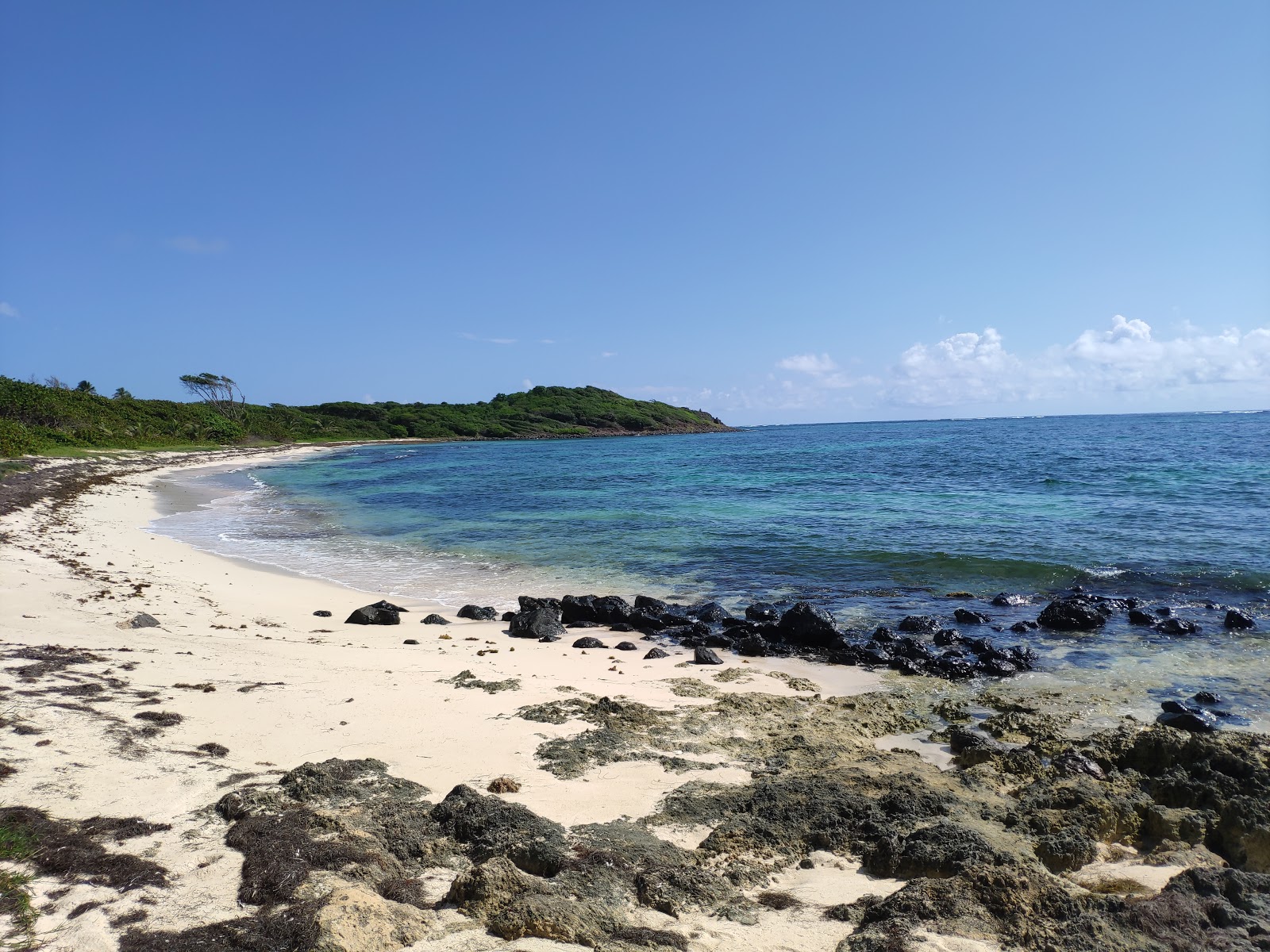 Plage de Cap Macre'in fotoğrafı düz ve uzun ile birlikte