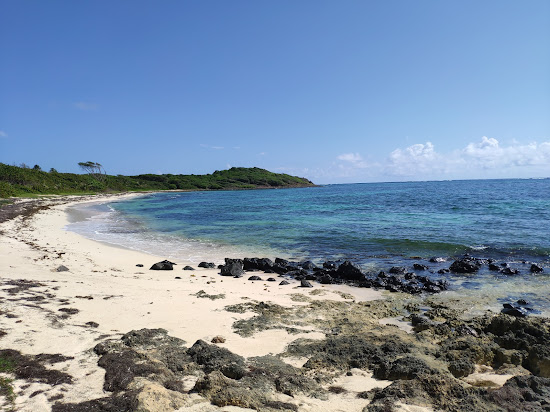 Plage de Cap Macré