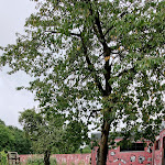 Photo n°4 de l'avis de Dominik.e fait le 29/08/2021 à 19:10 sur le  Café im Kliemannsland „Zum Dübel“ à Elsdorf