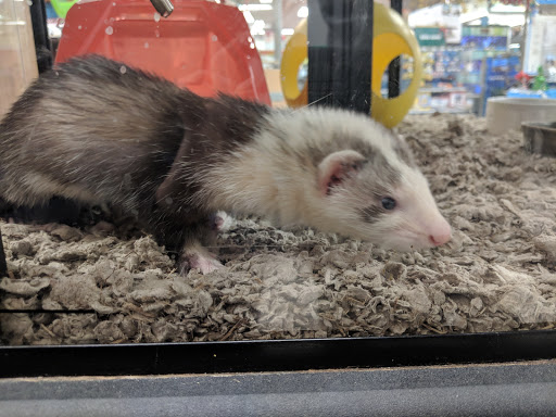 Pet Supply Store «Petco Animal Supplies», reviews and photos, 6805 Mills Civic Pkwy #140, West Des Moines, IA 50266, USA