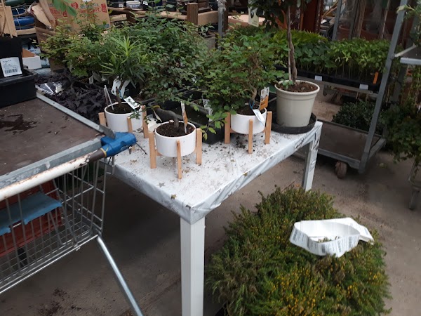 Imagen de Centro de Jardinería Kuka (8 de 32)