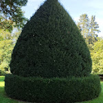 Photo n°4 de l'avis de Tom.e fait le 06/10/2023 à 14:01 sur le  Schloss Rauischholzhausen à Ebsdorfergrund