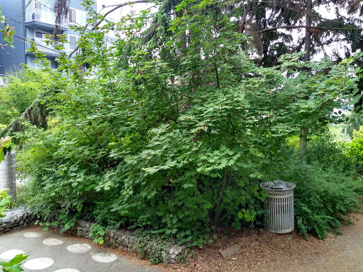 Park «Fremont Peak Park», reviews and photos, 4357 Palatine Ave N, Seattle, WA 98103, USA