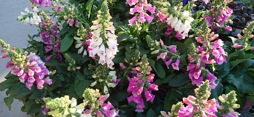 Home Improvement Store «The Home Depot», reviews and photos, 75 McLean Blvd, Paterson, NJ 07514, USA