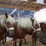 Photo n° 3 de l'avis de Frédérique.e fait le 24/10/2017 à 13:31 pour Rochexpo à La Roche-sur-Foron