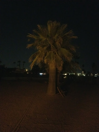 Golf Course «Desert Sands Golf Course», reviews and photos, 1922 S 74th St, Mesa, AZ 85209, USA