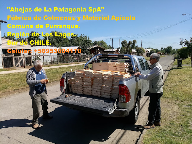 Opiniones de Abejas de La Patagonia SpA en Purranque - Spa