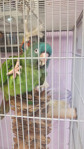 Pet Store «Incredible Pets Inc», reviews and photos, 2255 N Wickham Rd # 102, Melbourne, FL 32935, USA