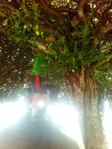 Park «East Palestine City Park», reviews and photos