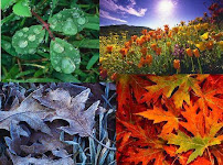 All Seasons Tree & Turf Care, Inc. - Photo 7 - Car repair in , Yuba City