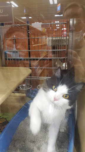 Pet Supply Store «PetSmart», reviews and photos, 4824 211th St, Matteson, IL 60443, USA