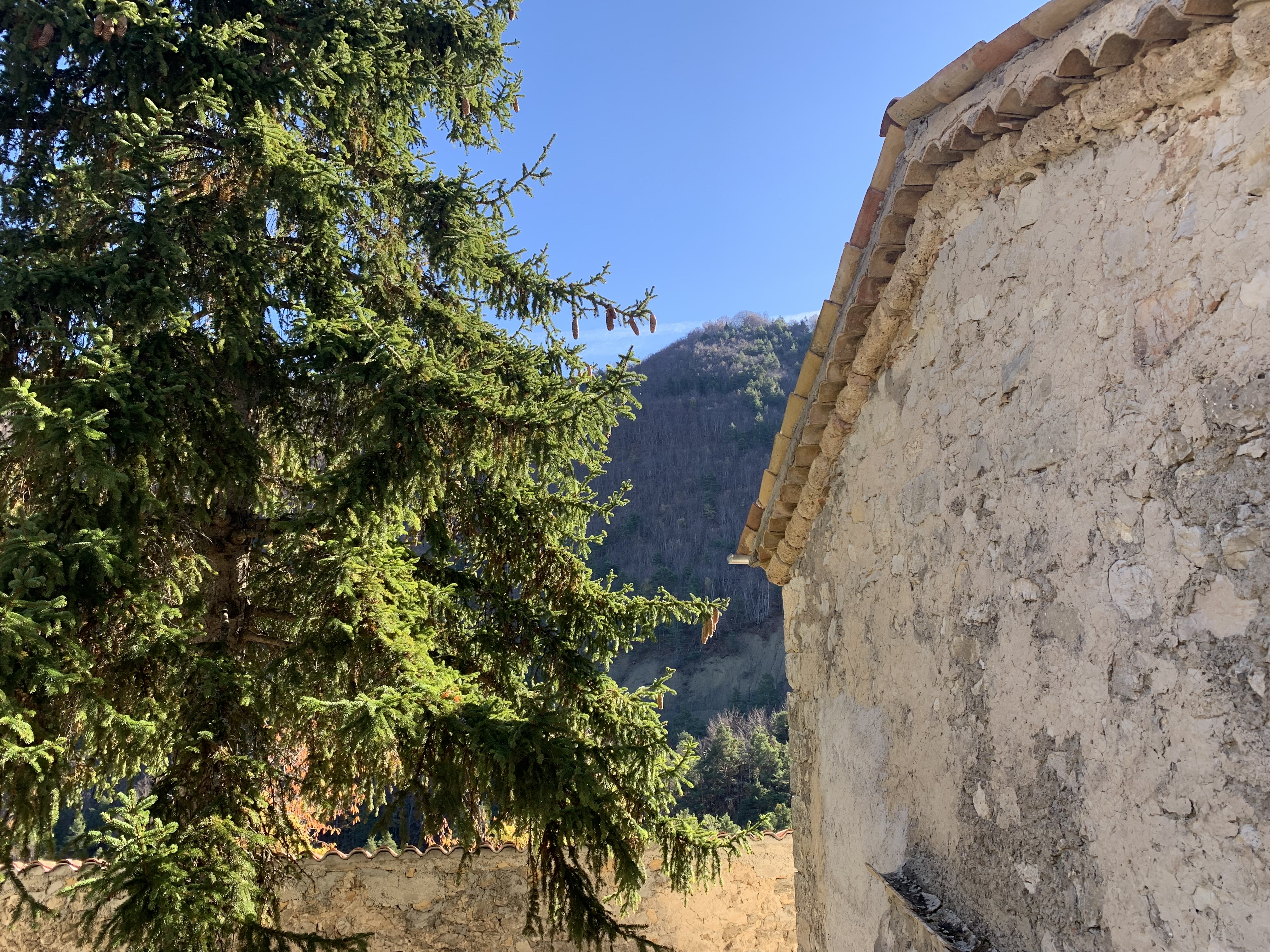 Photo n° 5 de l'avis de cosquer.e fait le 15/11/2022 à 12:23