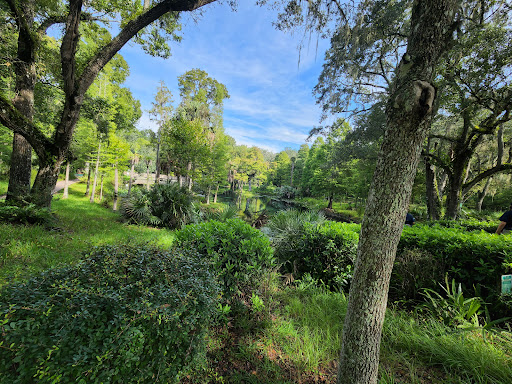 Nature Preserve «Crystal Springs Preserve», reviews and photos, 1609 Crystal Springs Rd, Crystal Springs, FL 33524, USA