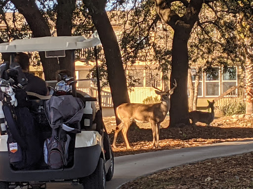 Golf Club «Point Venture Golf Club», reviews and photos, 422 Venture Blvd S, Leander, TX 78645, USA