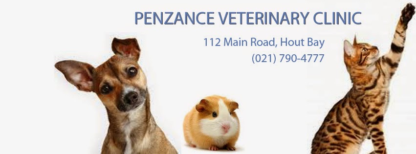 Penzance Veterinary Clinic