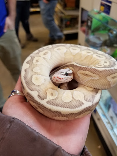 Pet Supply Store «PetSmart», reviews and photos, 2641 Lawndale Dr, Greensboro, NC 27408, USA