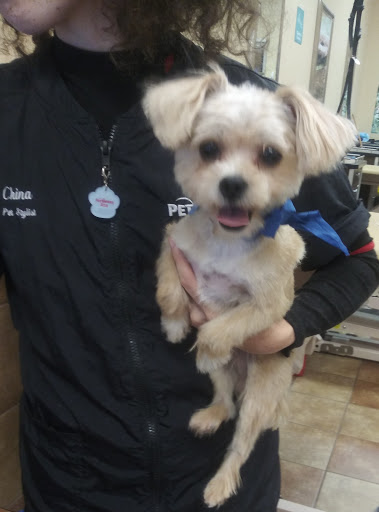 Pet Supply Store «PetSmart», reviews and photos, 4155 Austell Rd, Austell, GA 30106, USA