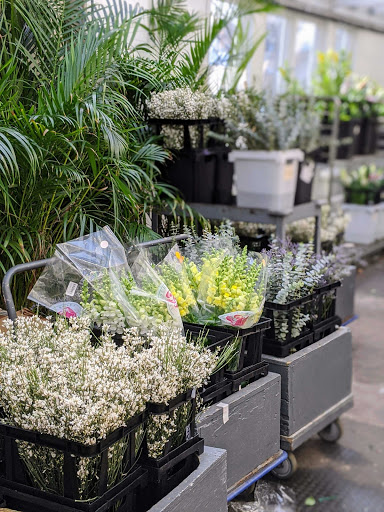 Florist «A Johnson & Sons Florist», reviews and photos, 1738 Grand Ave, St Paul, MN 55105, USA