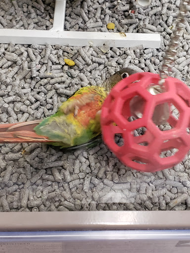 Pet Supply Store «Petco Animal Supplies», reviews and photos, 3454 Palmer Dr #7a, Cameron Park, CA 95682, USA