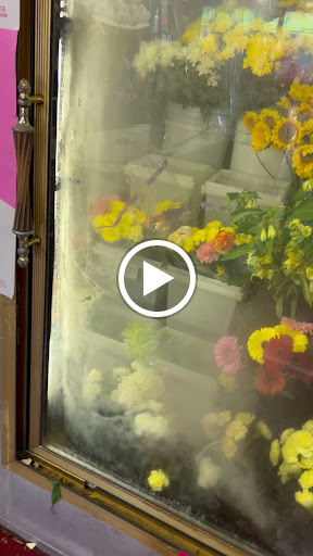 Florist «Hillside Floral Design», reviews and photos, 153-39 Hillside Avenue, Jamaica, NY 11432, USA