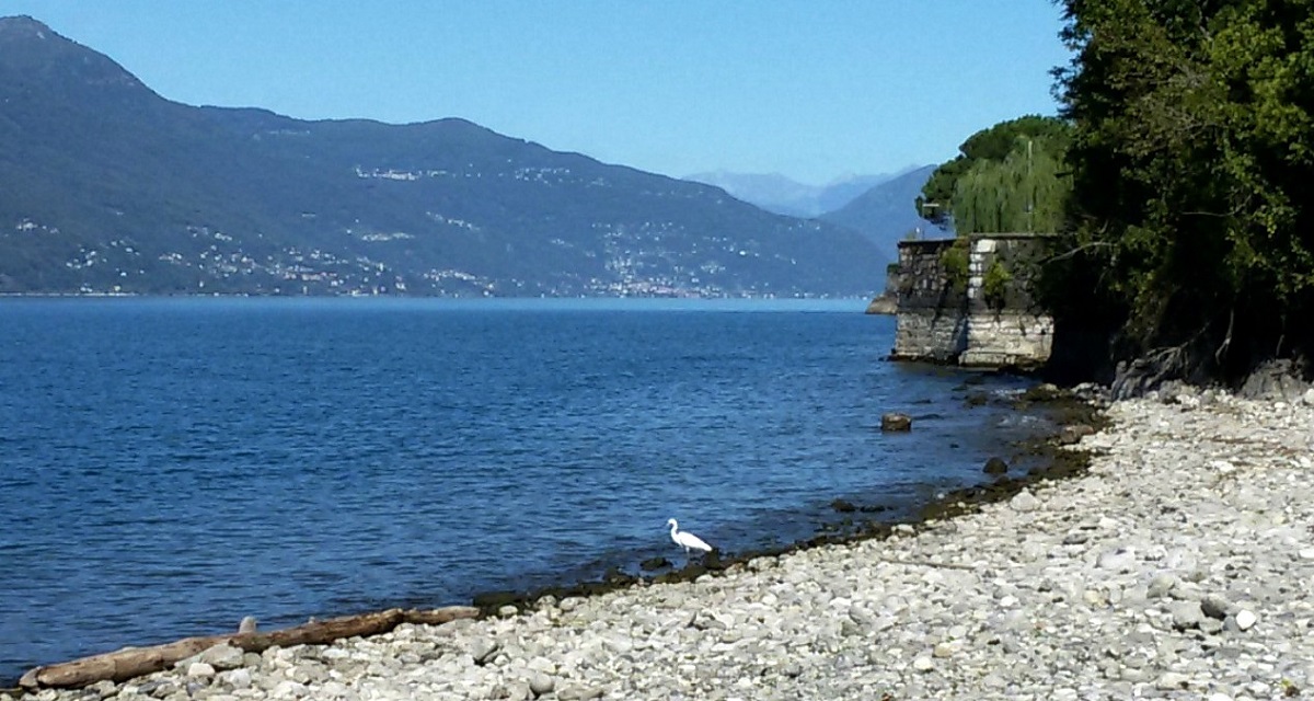 Spiaggia delle Rianne photo #9