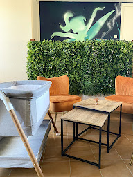 Photo n°13 de La Forêt Clochette à Saint-Hilaire-Peyroux ()