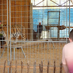 Photo n°2 de l'avis de Patrick. fait le 03/08/2020 à 07:37 sur le  Tier-Erlebnispark Bell à Bell